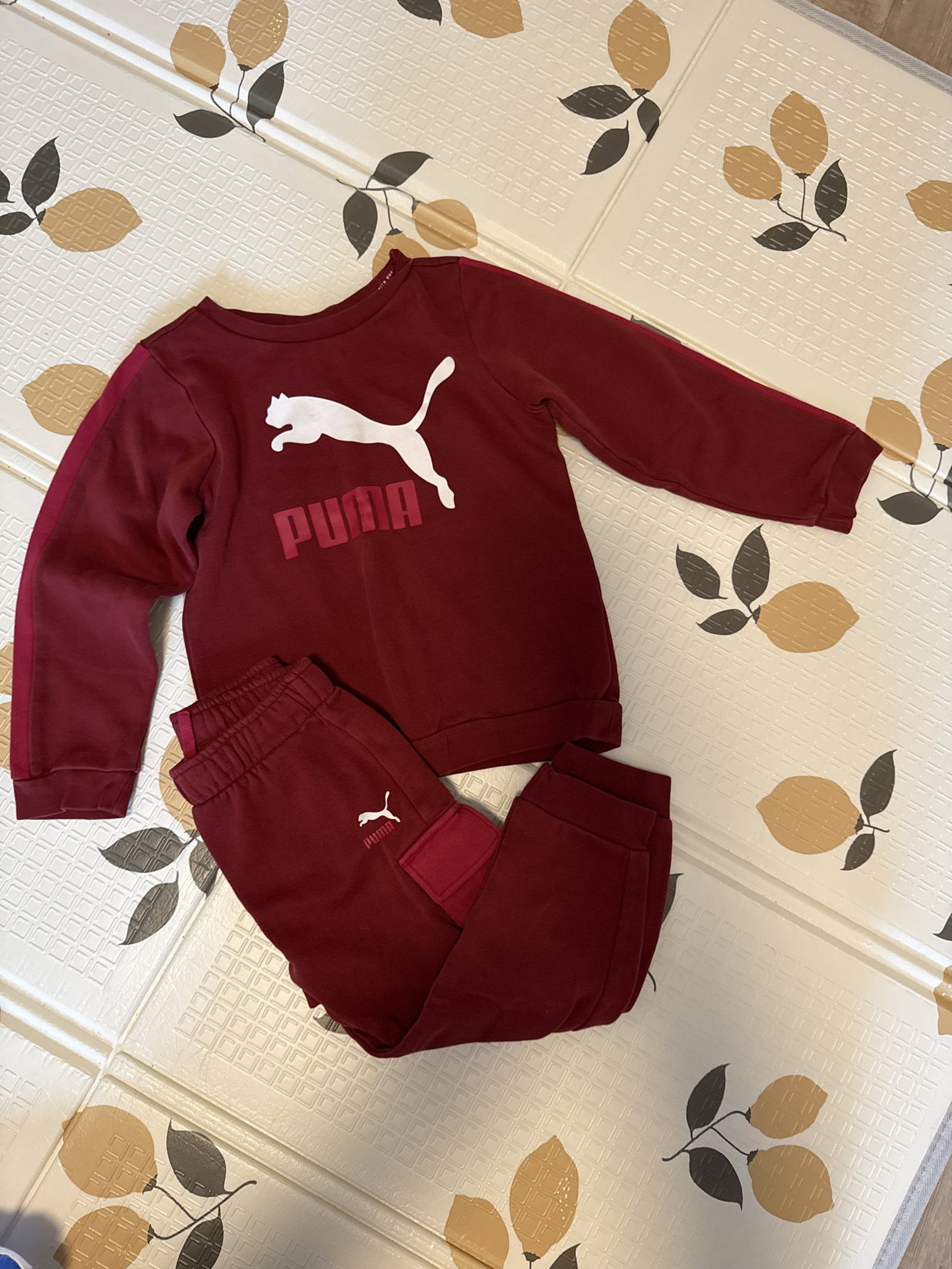Jogginganzug Puma 