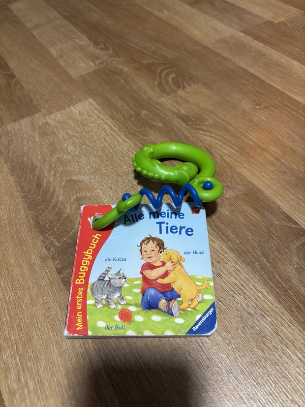 Kinderwagenbuch