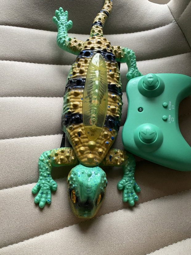 Gekko, ferngesteuert
