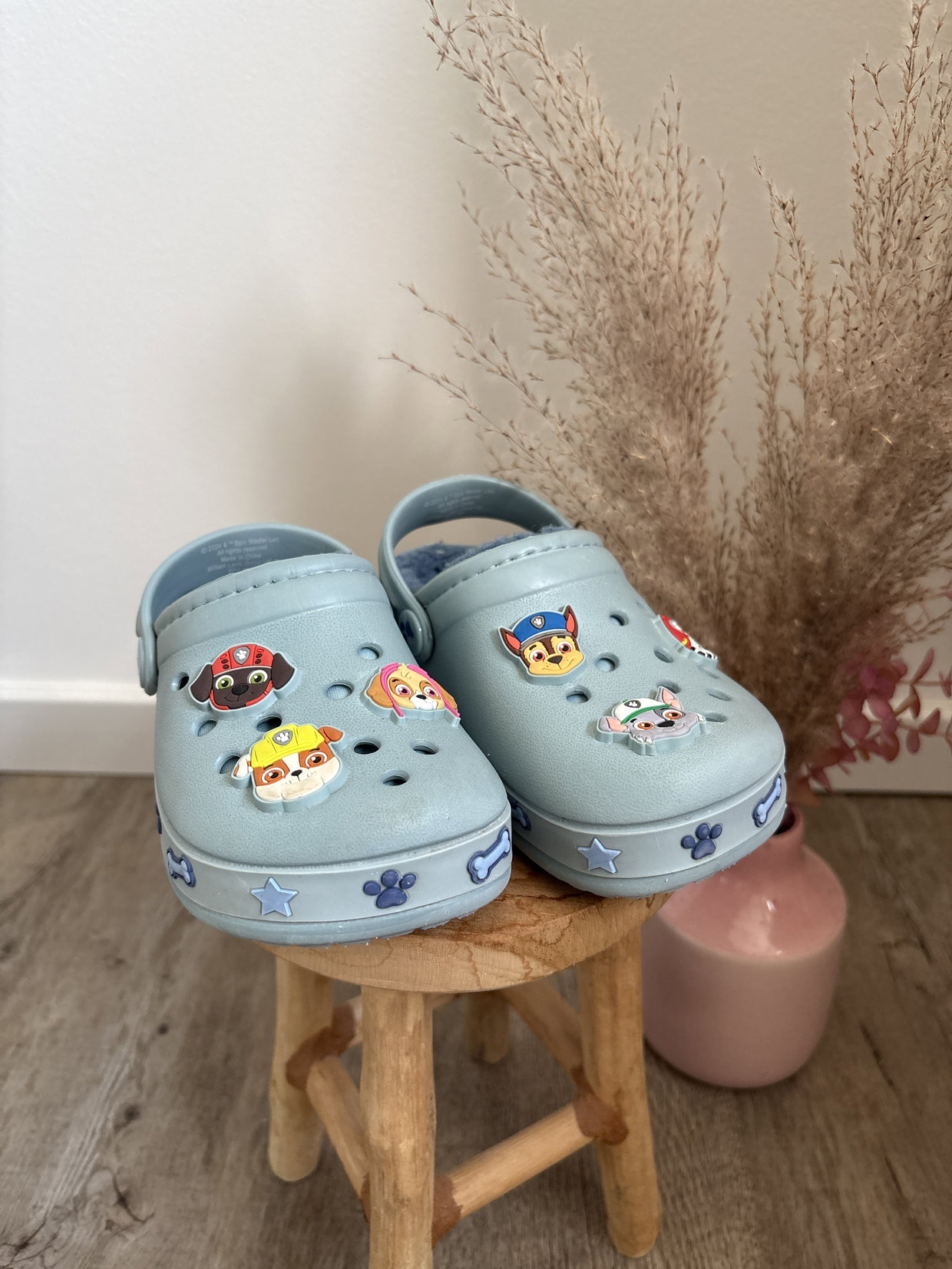 Paw Patrol Crocs