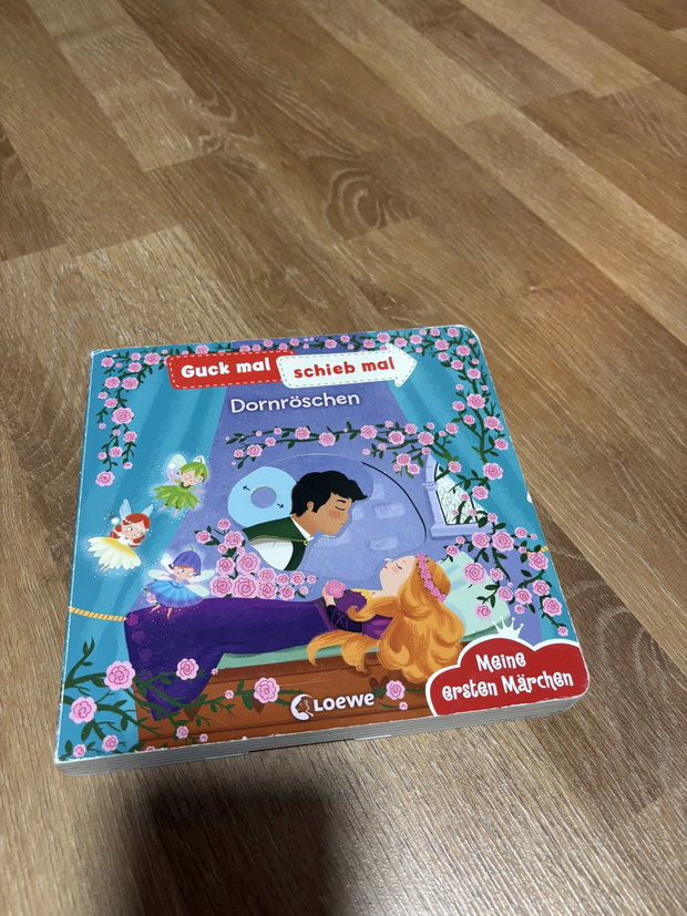 Buch Dornröschen 