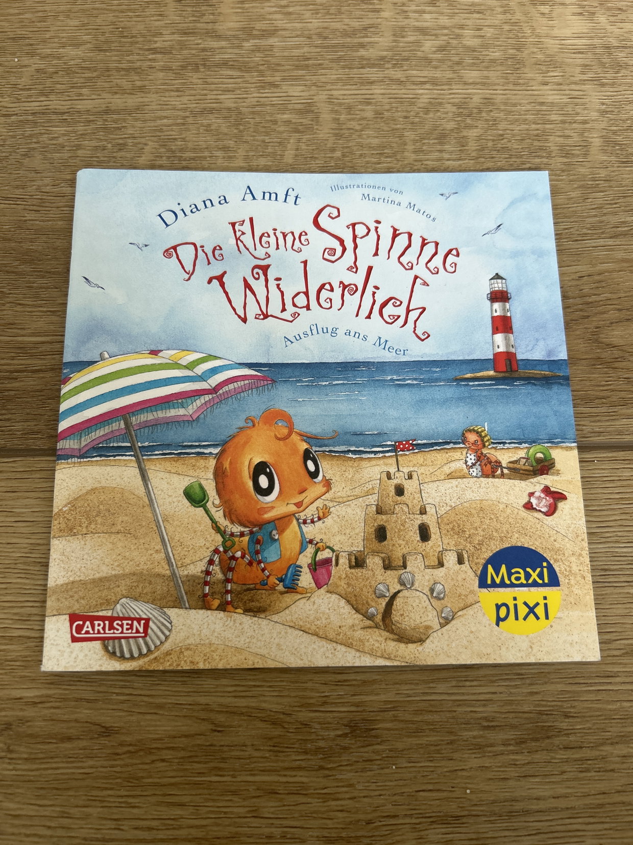 Kleine Spinne widerlich Ausflug ans Meer 