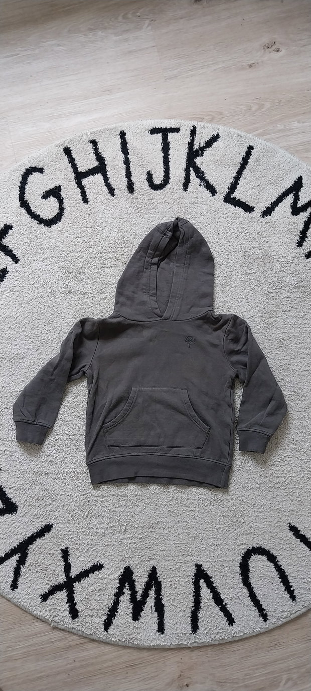 Hoodie Kapuzenpullover Gr 116