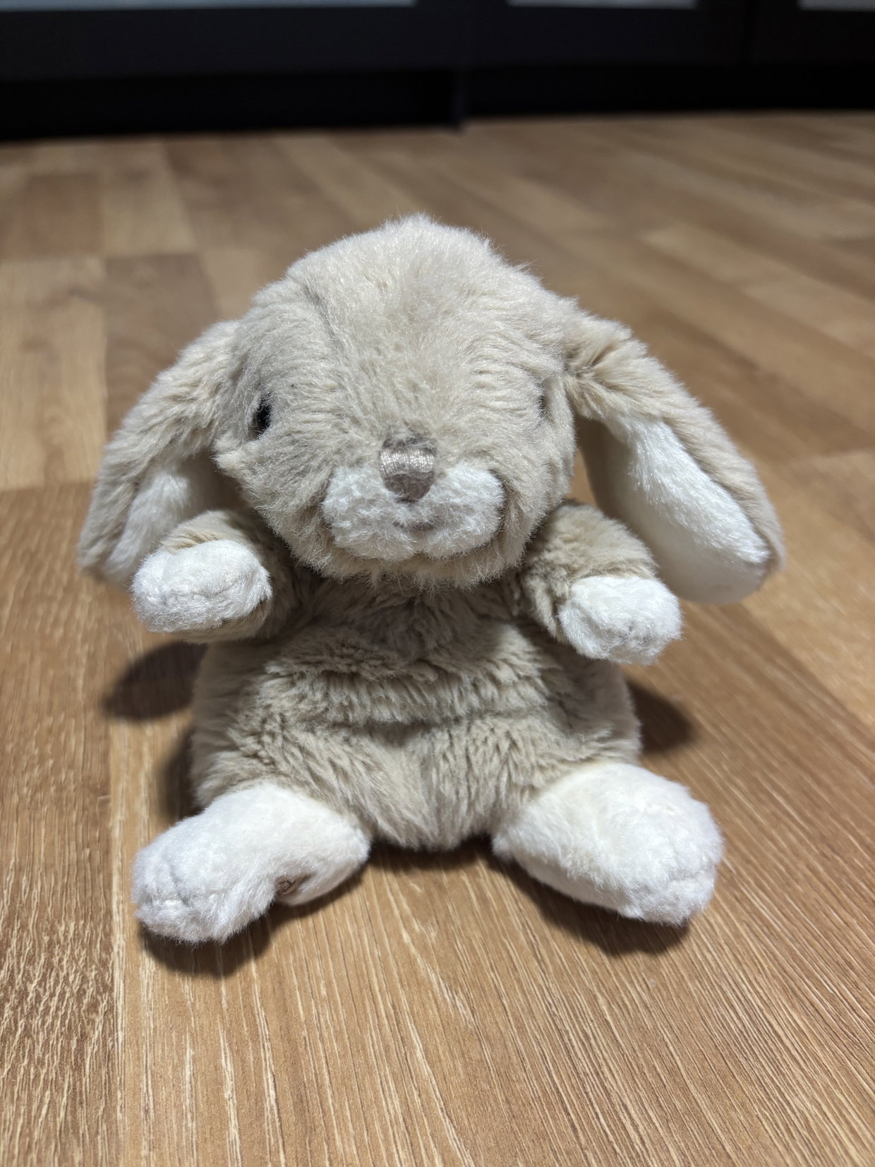 Kuscheltier Hase 