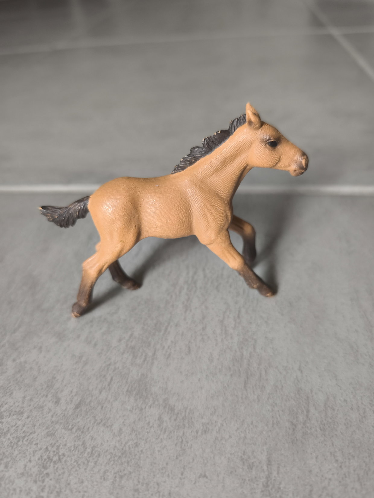 Schleich fohlen 