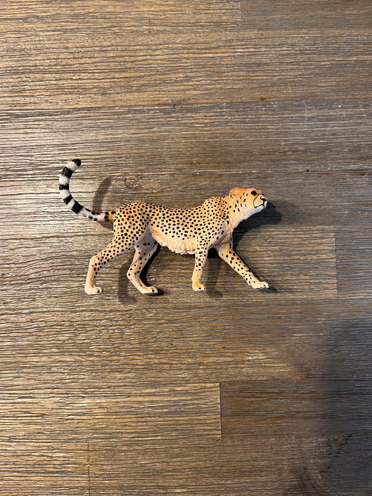 Schleich Gepard 