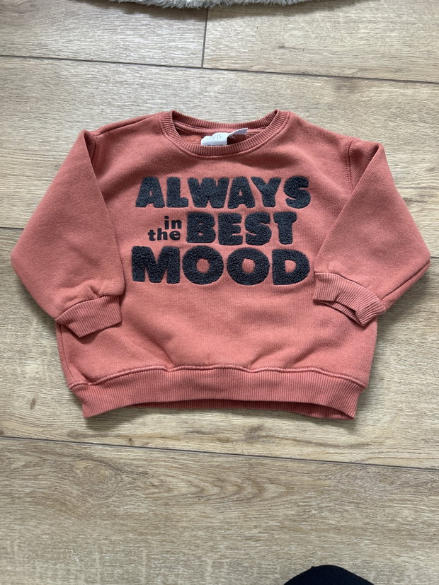 Zara Pullover orange 92