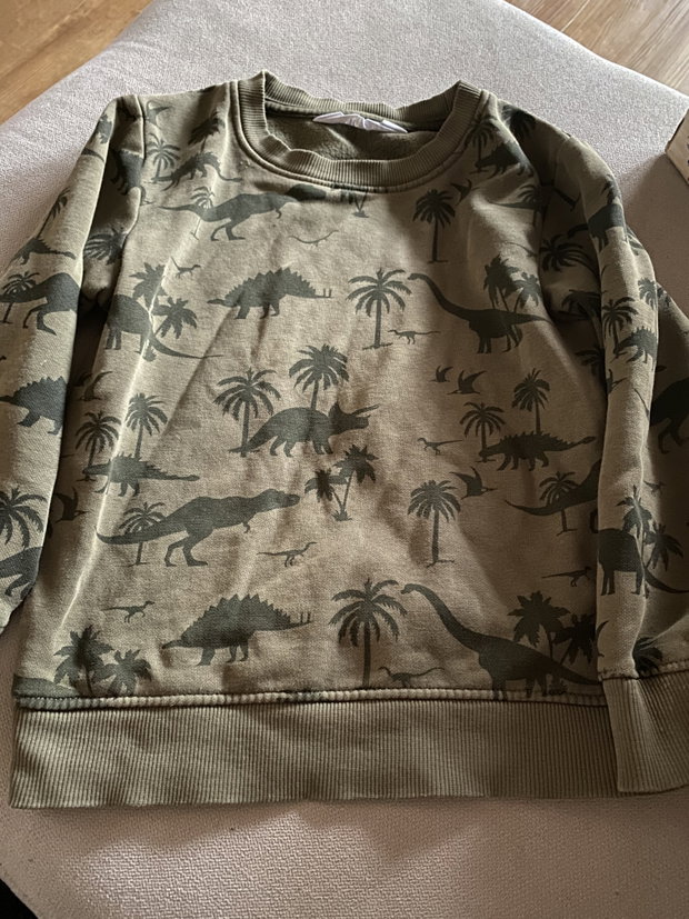 Dino Pulli Gr 110-116