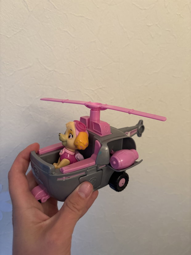 Paw Patrol Pink
