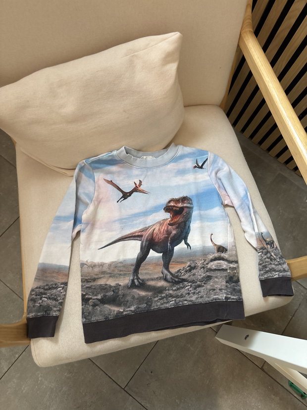 Dino Pullover 122/128