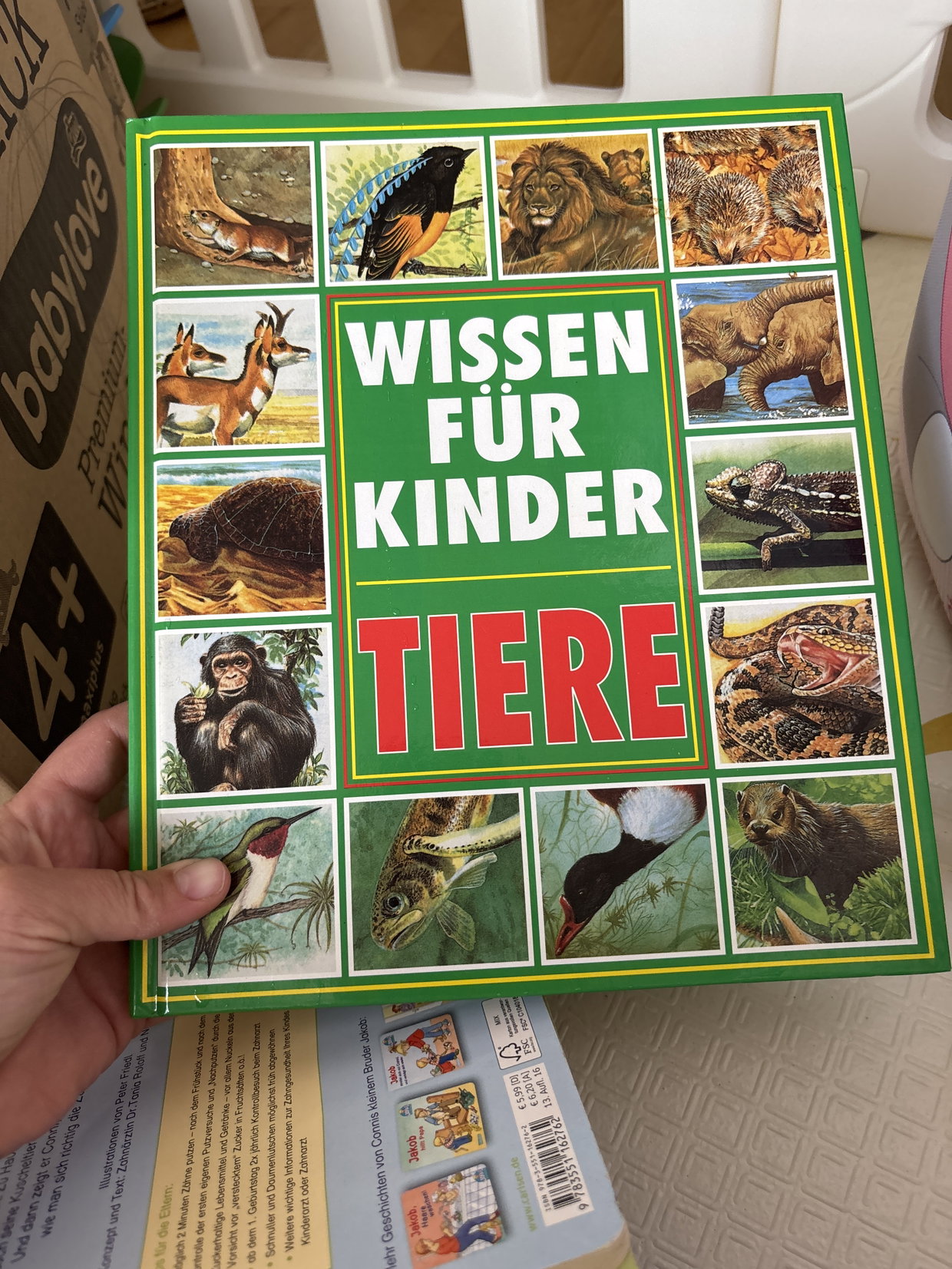 Wissen für Kinder 