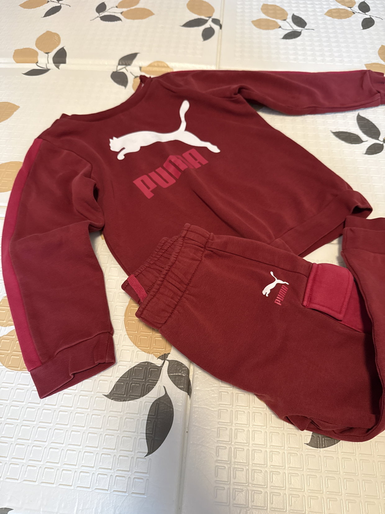 Jogginganzug Puma 