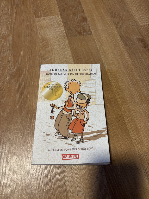 Buch Schule Rico Oskar