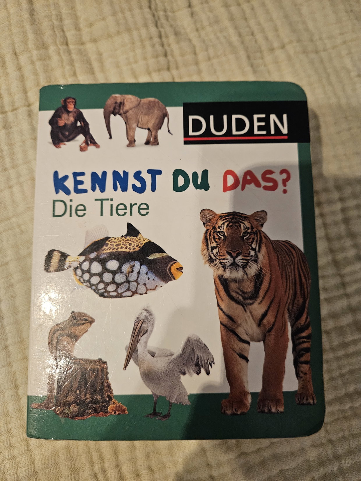 Tiere Buch