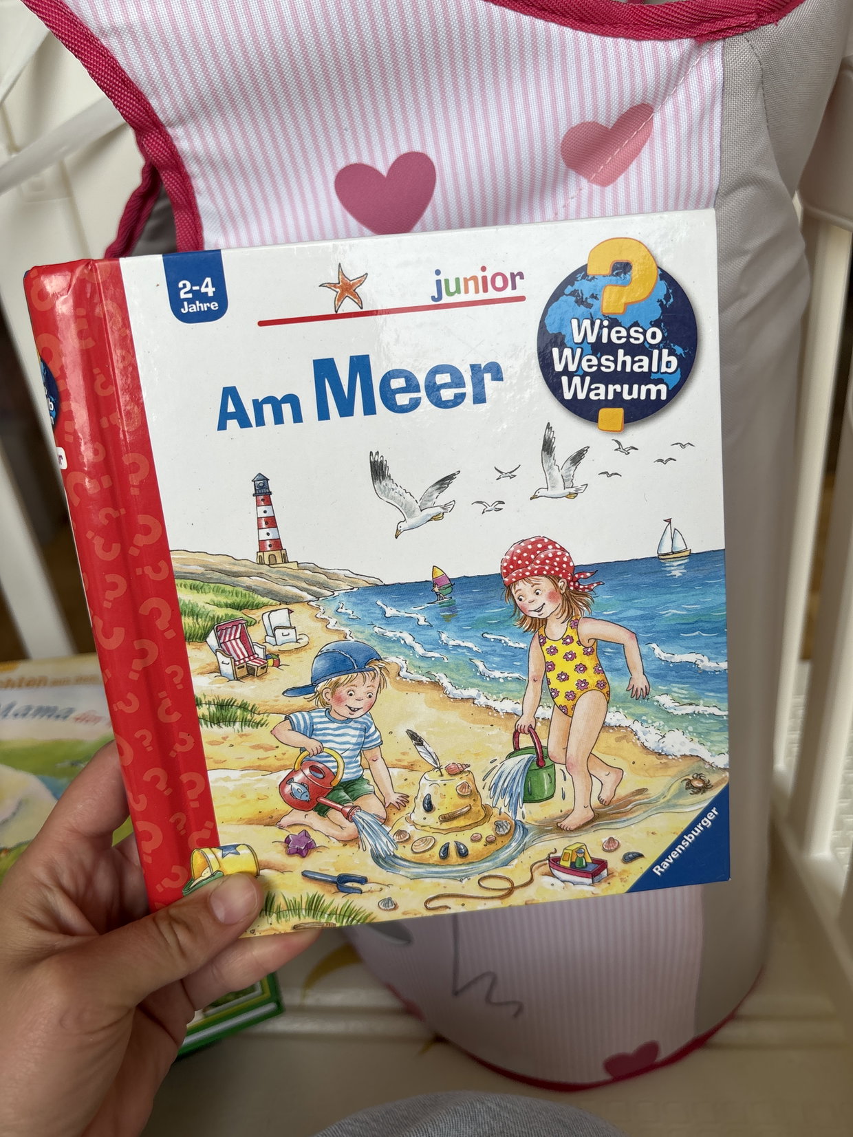 Am Meer Buch 