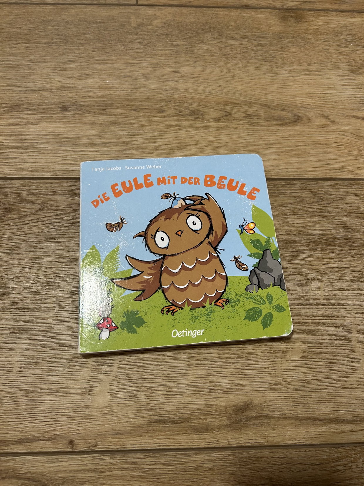 Die Eule mit der Beule 