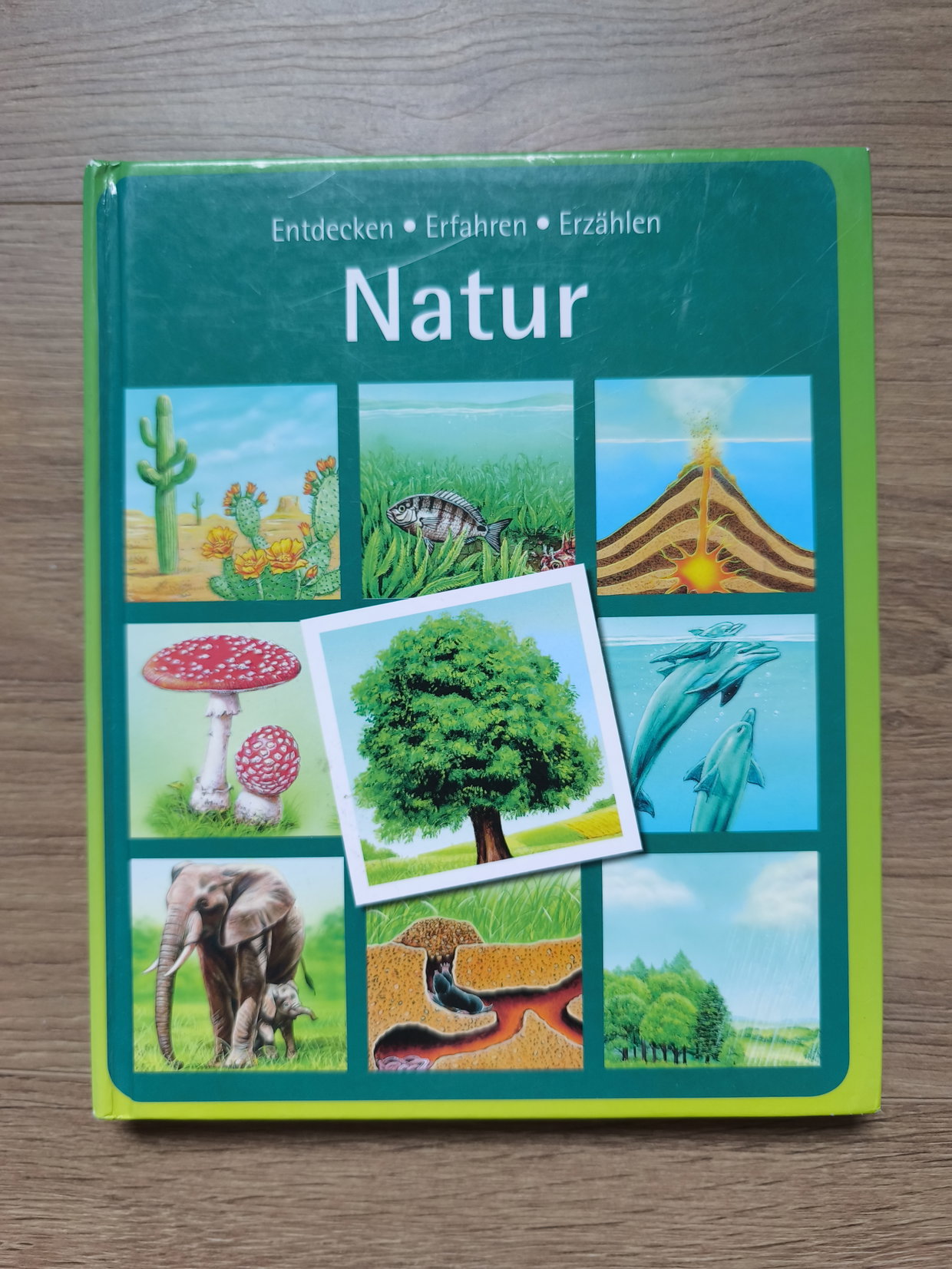 Buch Natur 