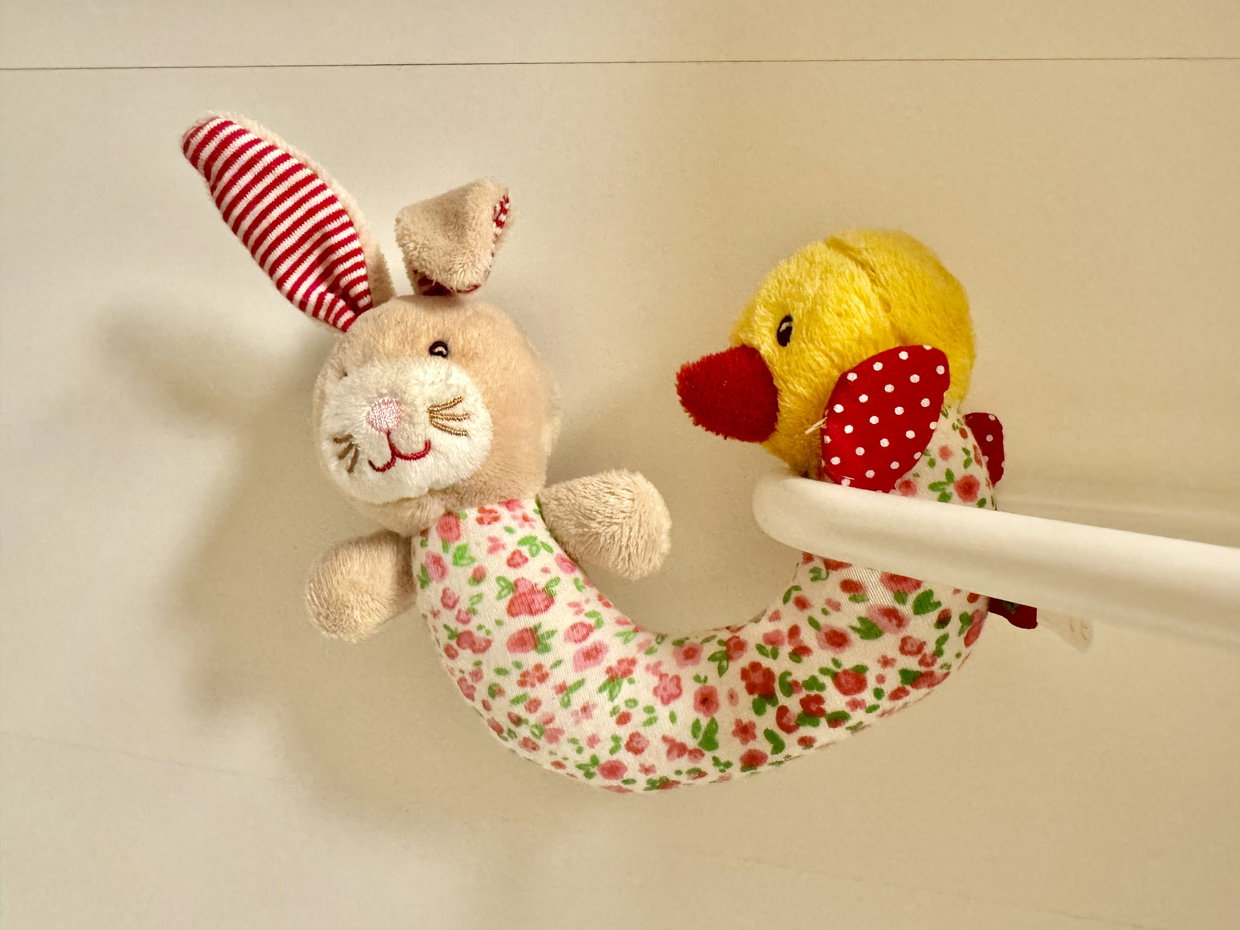 Hase und Küken Rassel 
