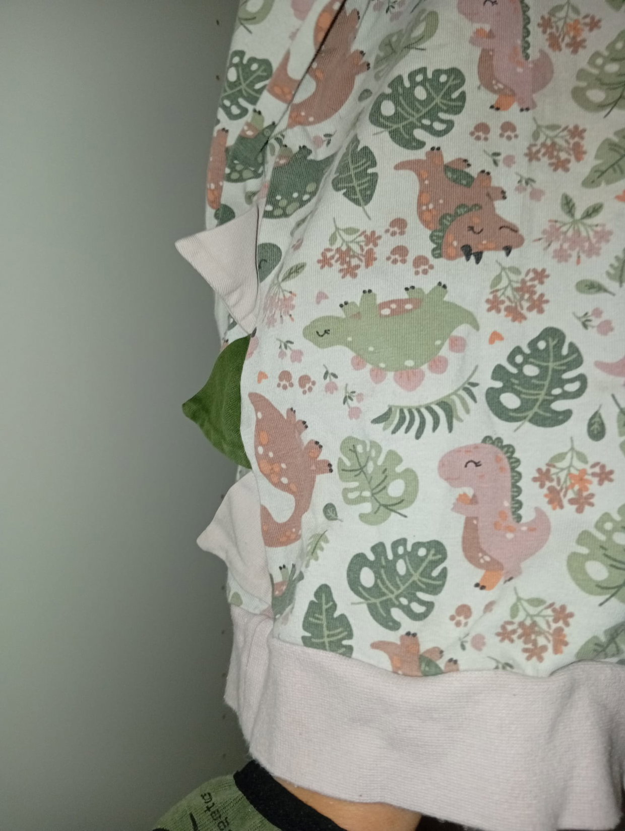 🦖 Pullover mit Dino- und Blättermotiv – Gr. 134