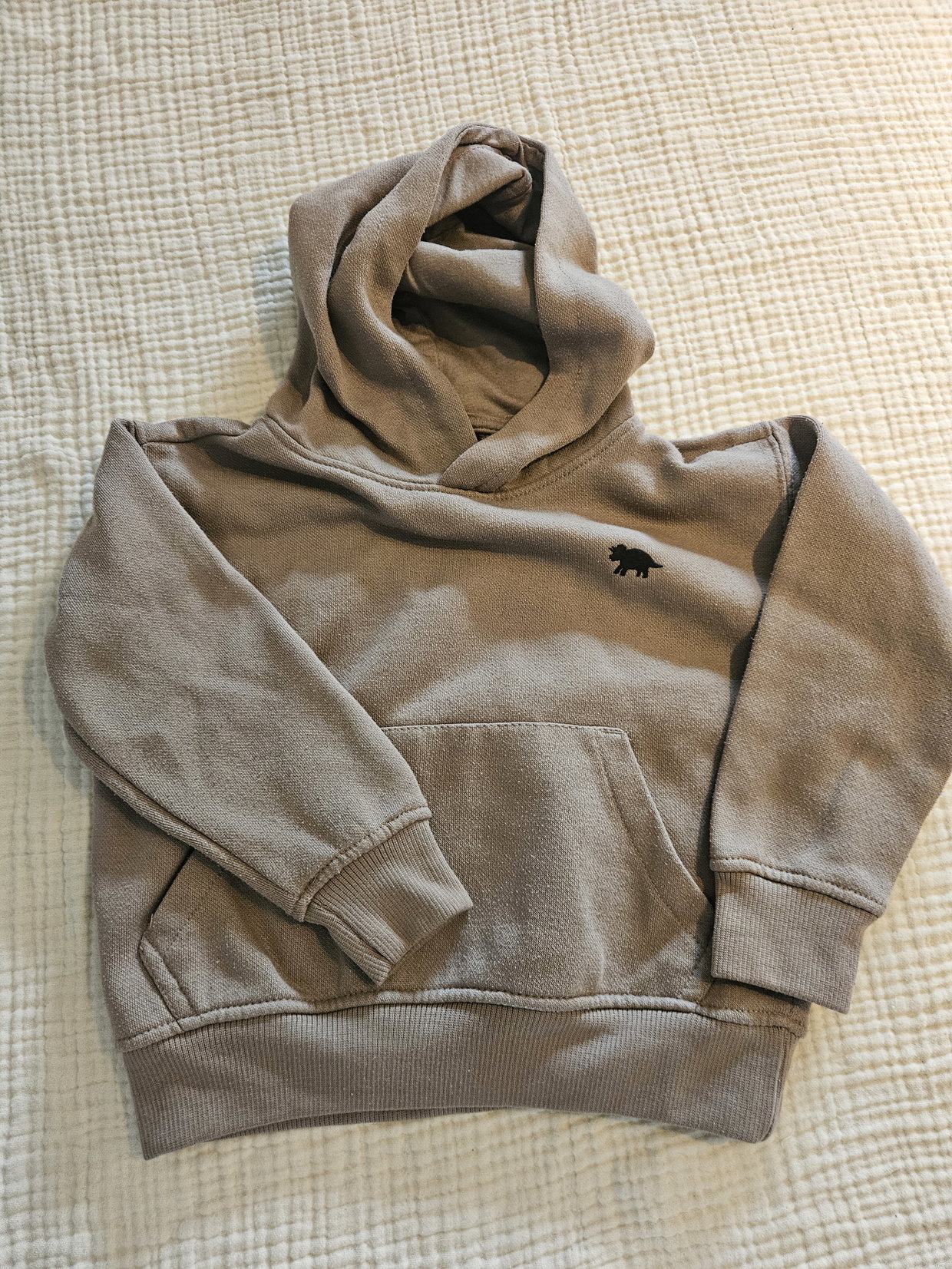 Brauner Kapuzenpulli Dino