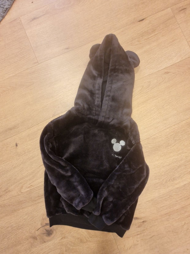 Pulli Disney 