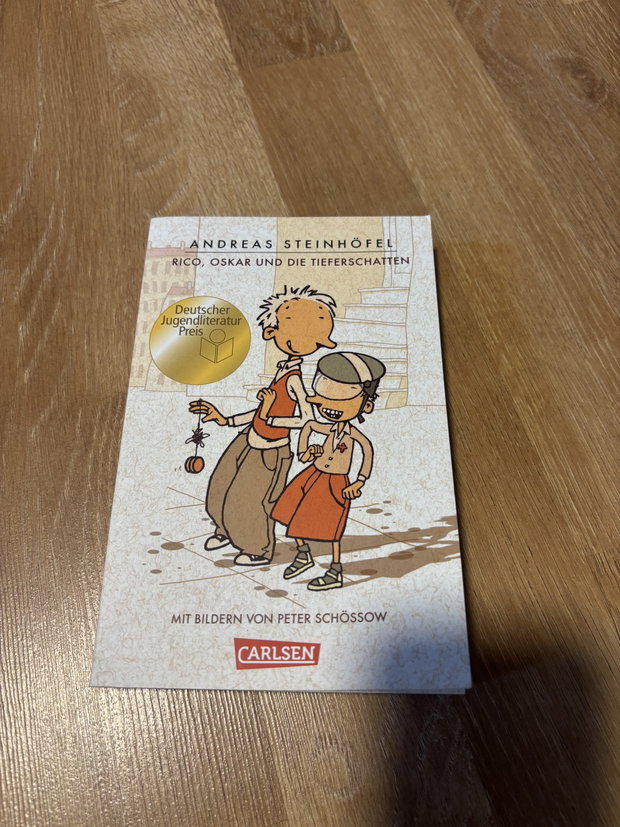 Buch Schule Rico Oskar 