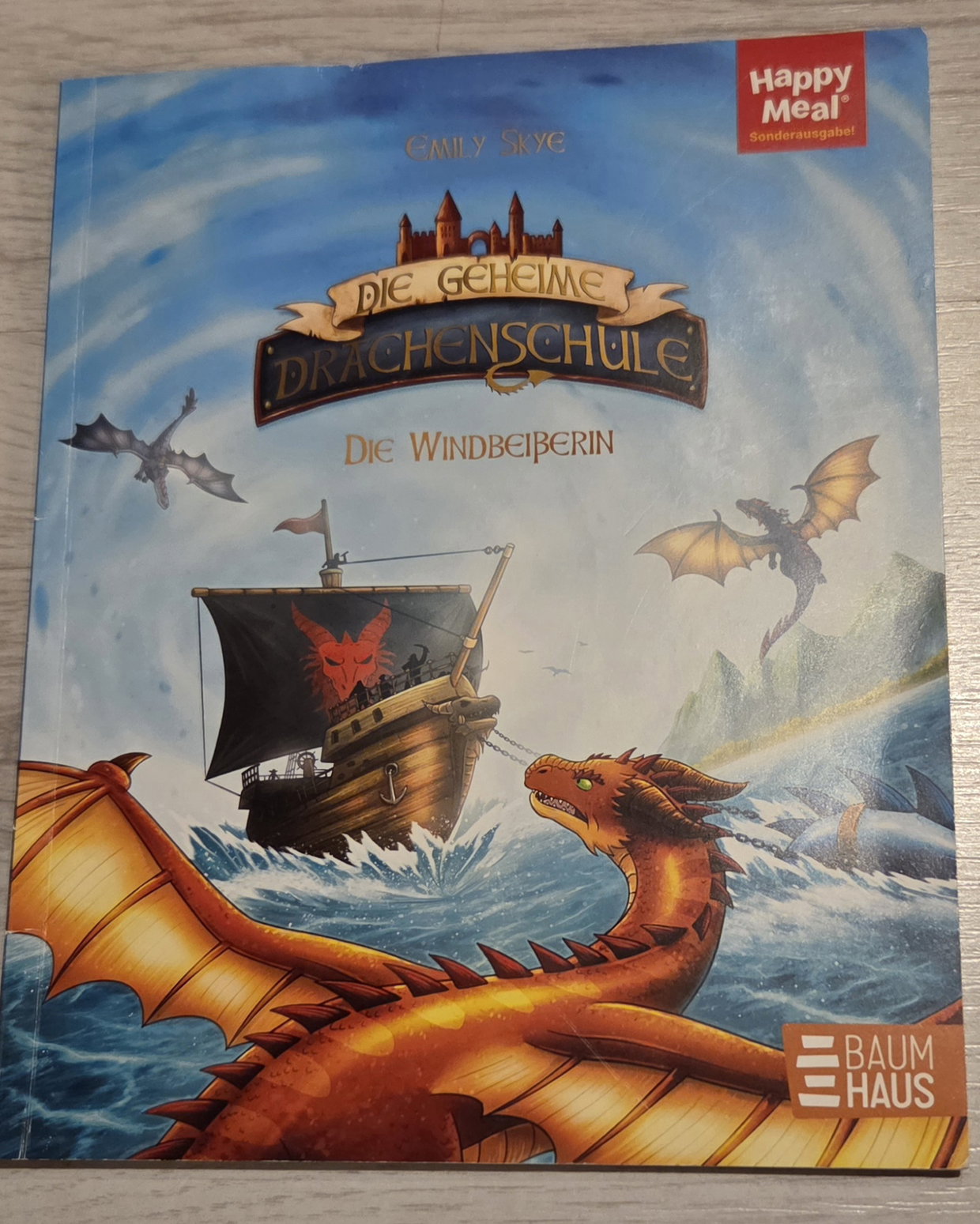 Buch die geheime Drachenschule