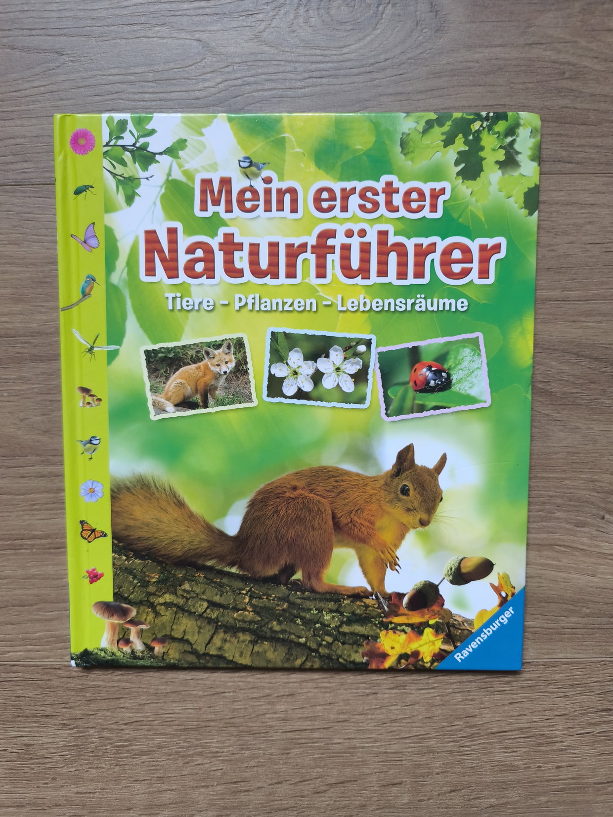 Buch Naturführer