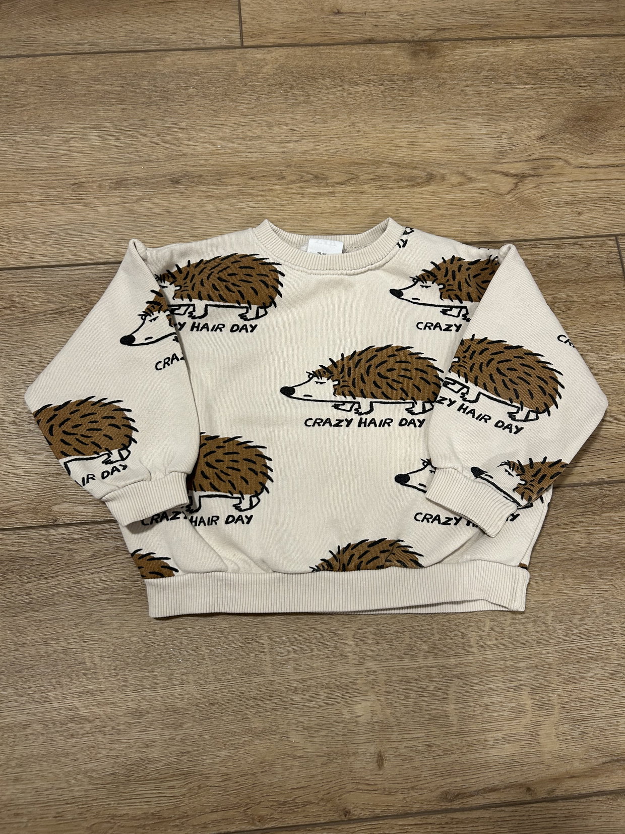 Zara Pullover Igel 92