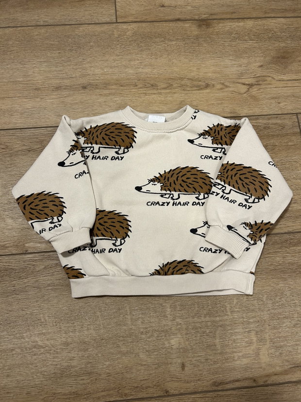 Zara Pullover Igel 92