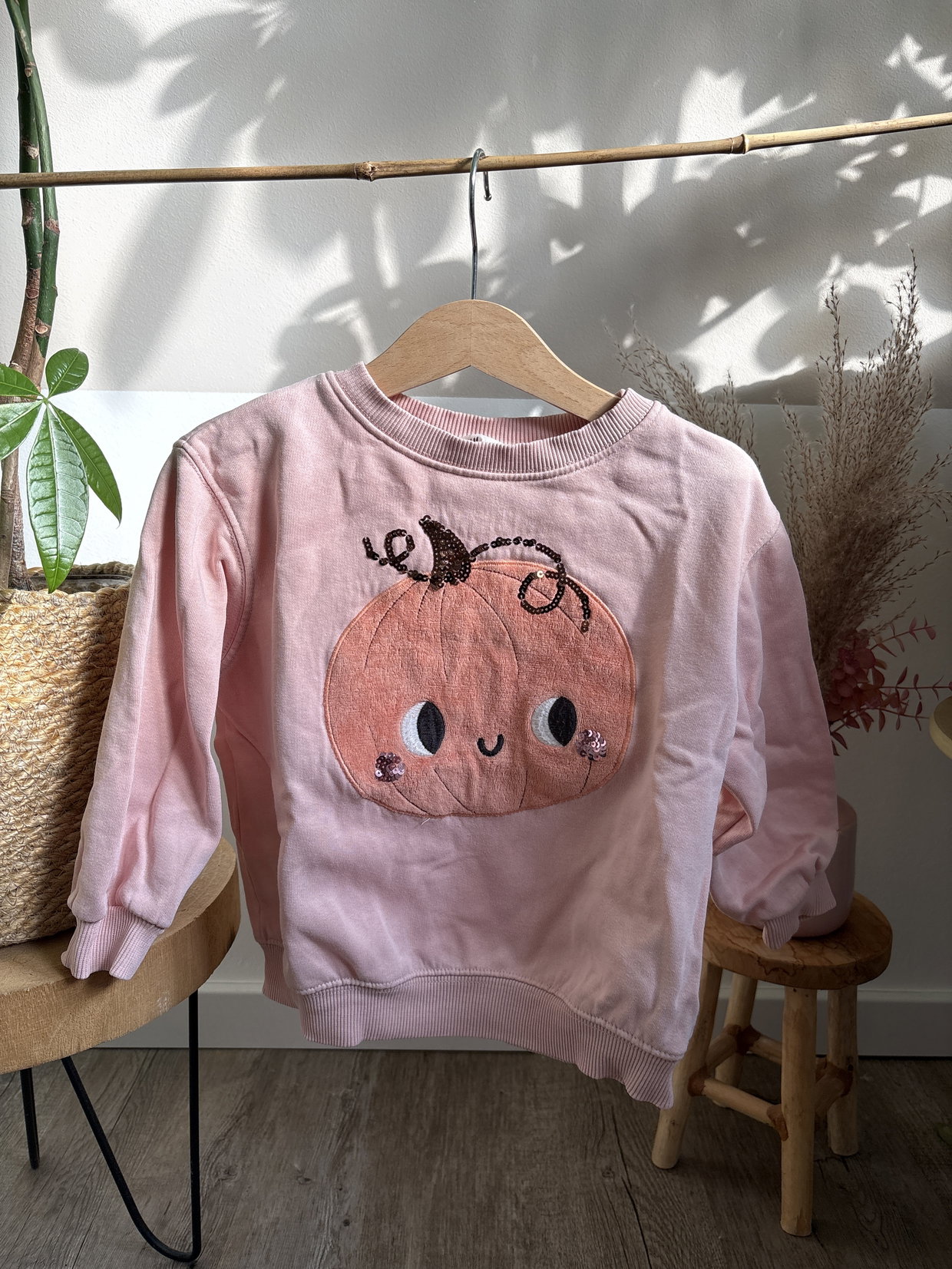 Pulli Kürbis