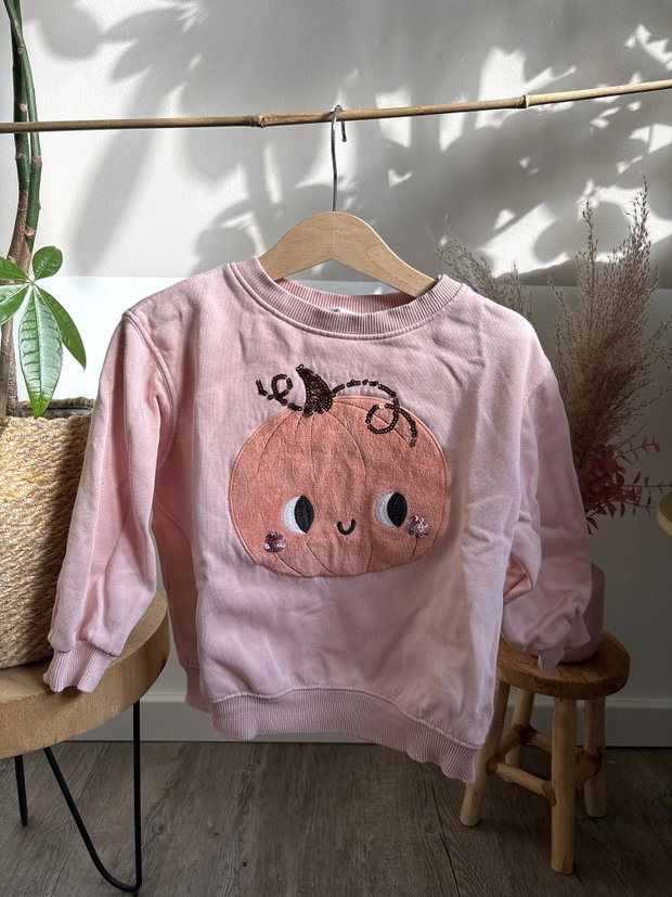 Pulli Kürbis