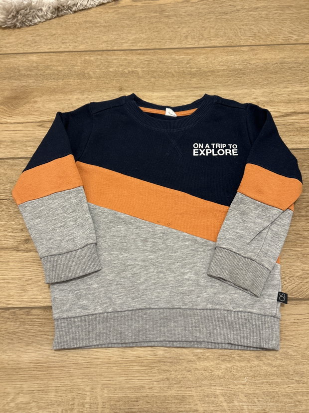 QS by S.Oliver Pullover 92/98