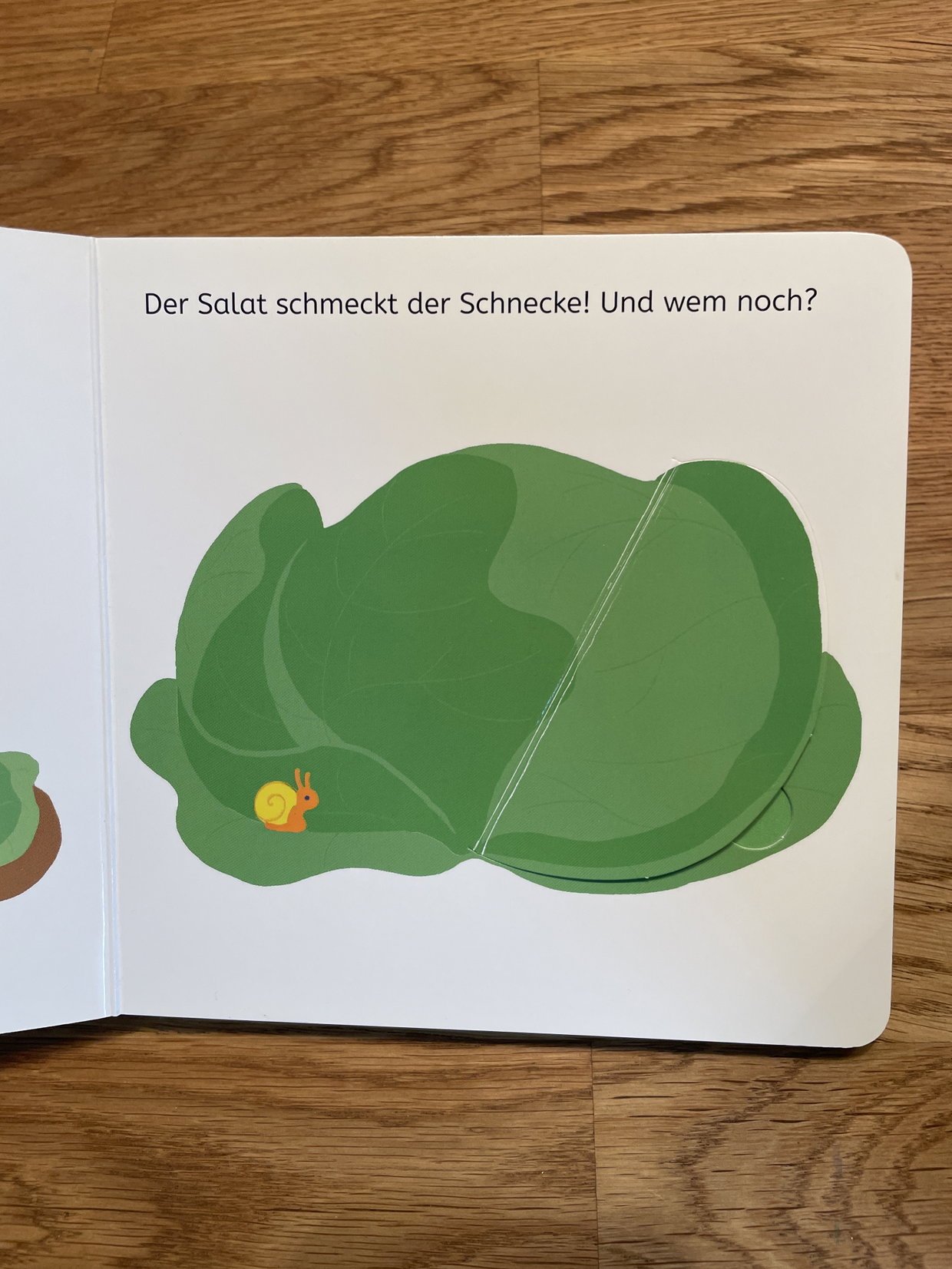 Buch mit Klappkarten, Im Garten