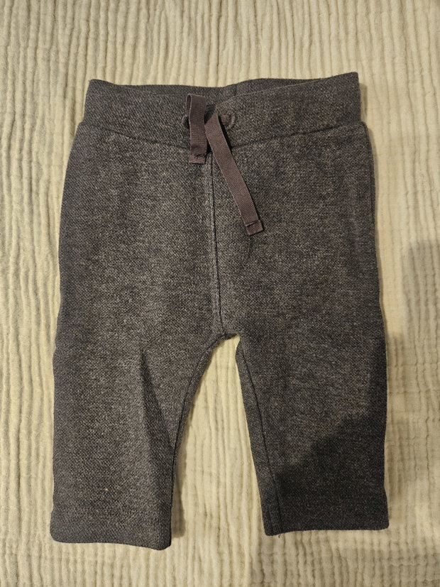 Hose