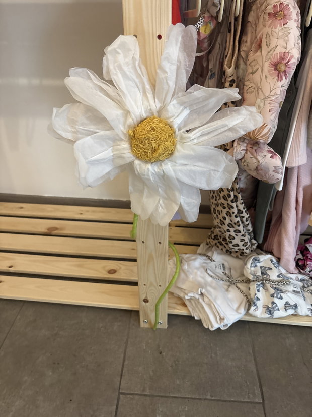 Blume 
