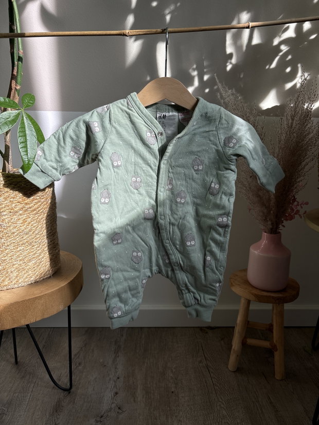 Dicker Pyjama Eulen