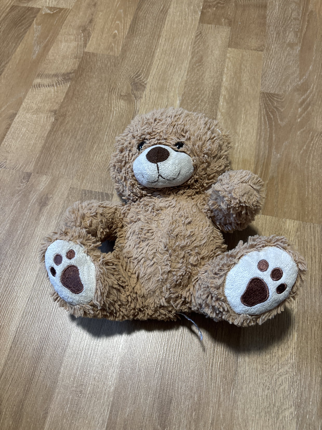 Kuscheltier Bär