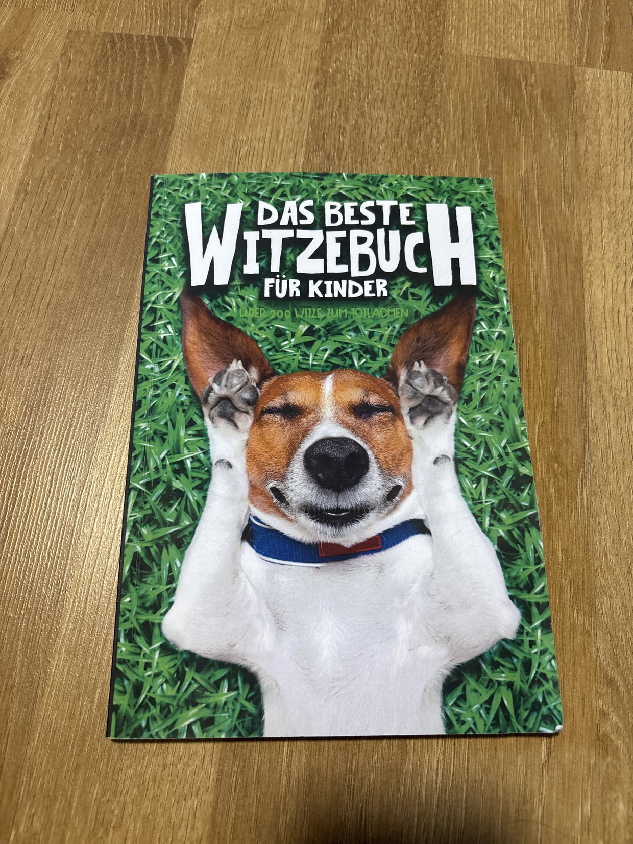 Das beste Witzebuch für Kinder 