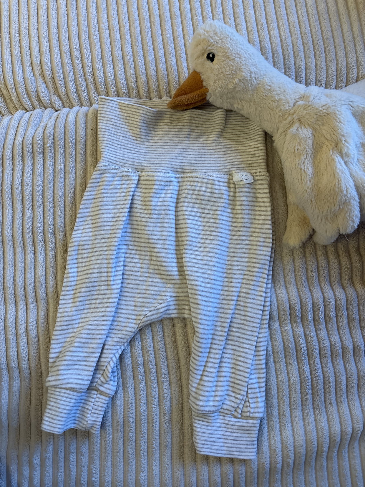 Leggings, H&M, Größe 56