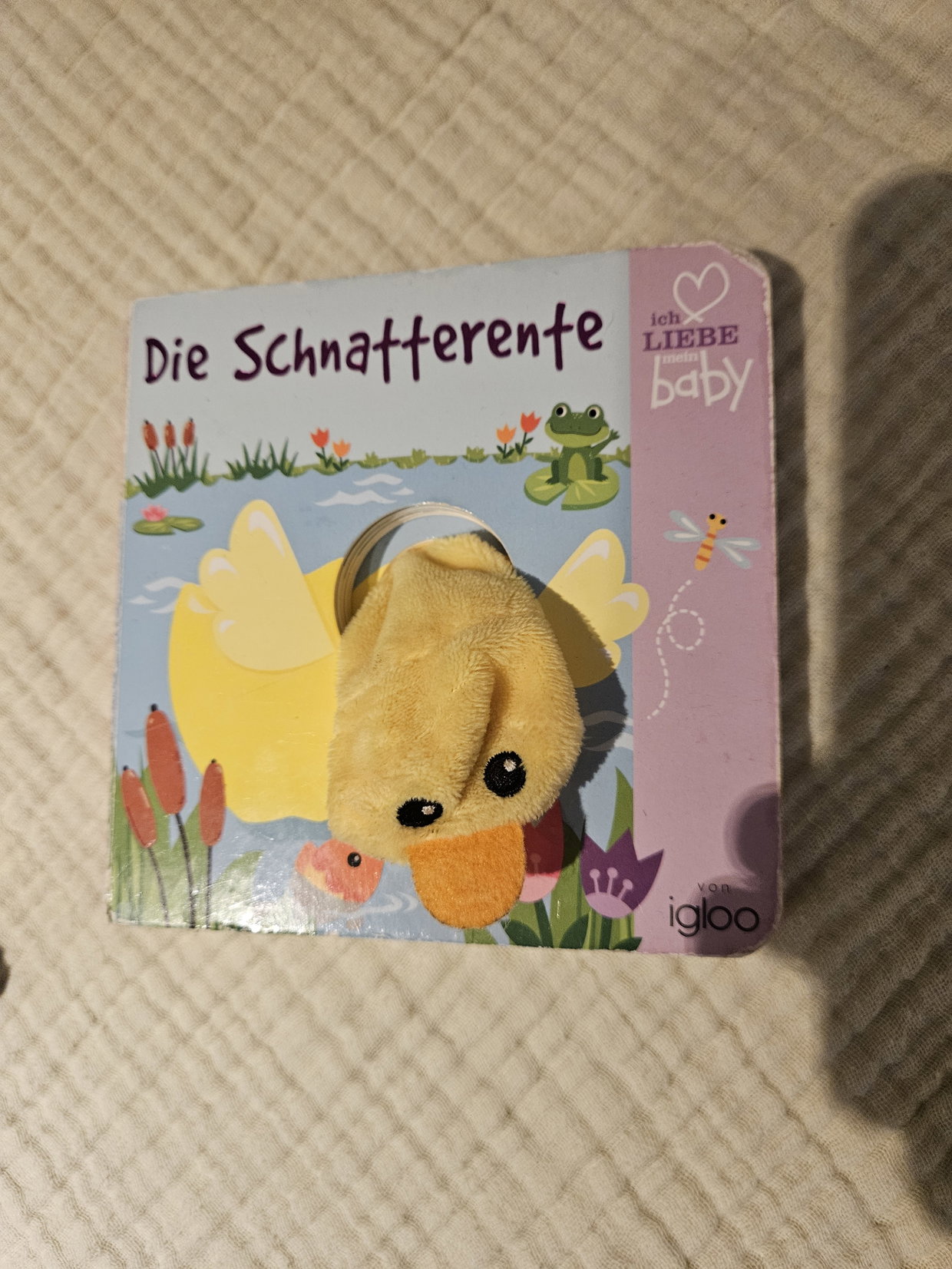 Schnatterente