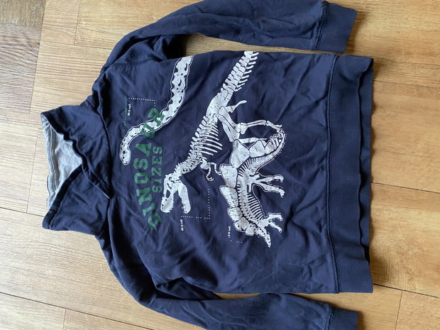 Dino Pulli Gr 116-122
