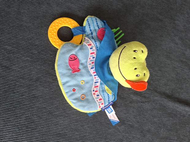 Knister Frosch