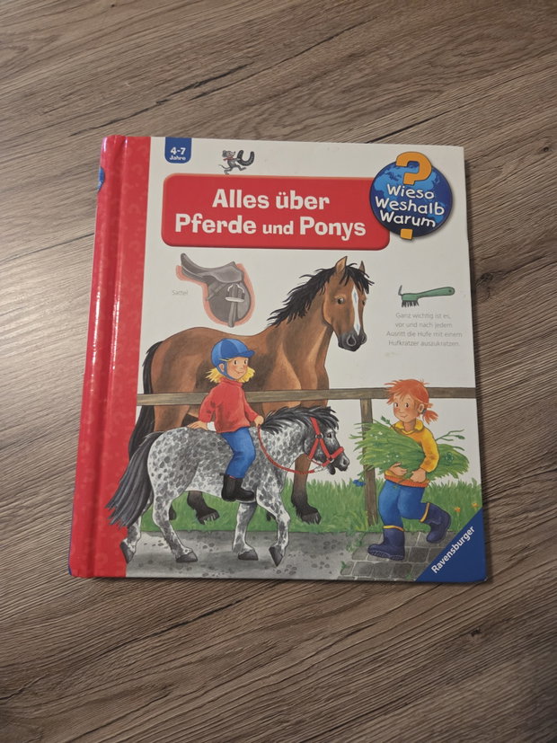 Buch Alles über Pferde und Ponys