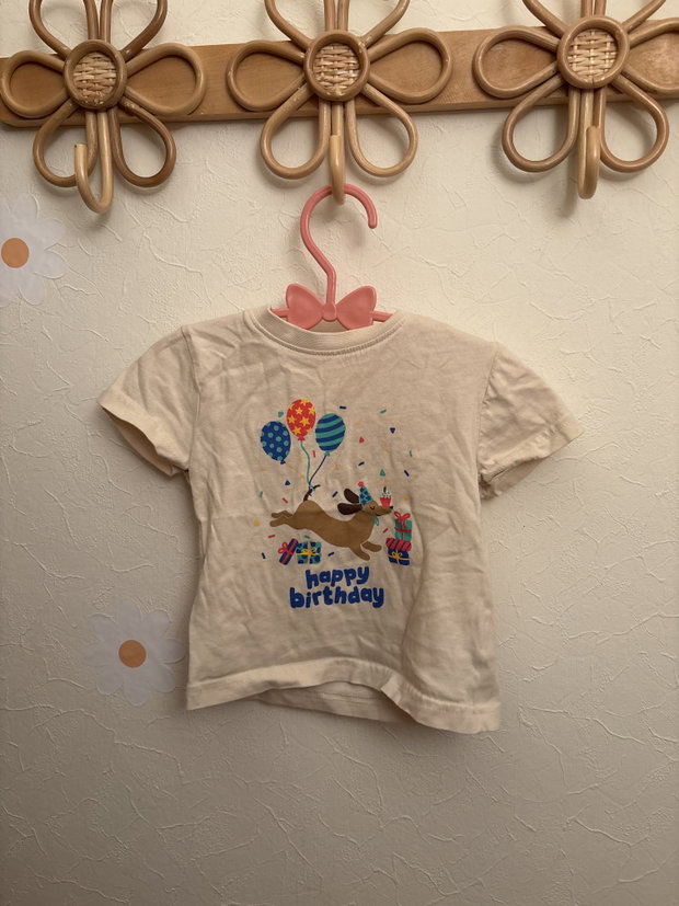 Geburtstagsshirt 