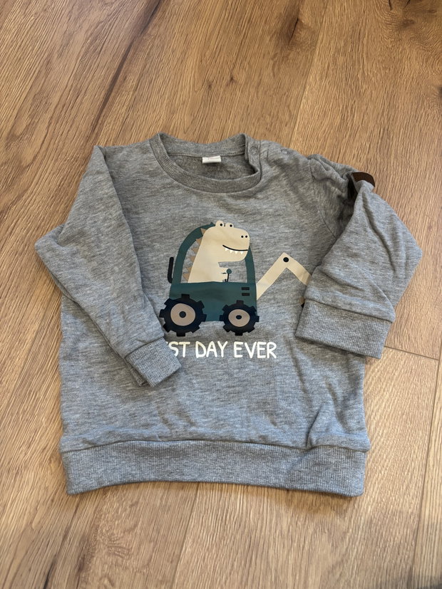 Dino Pullover Grau 