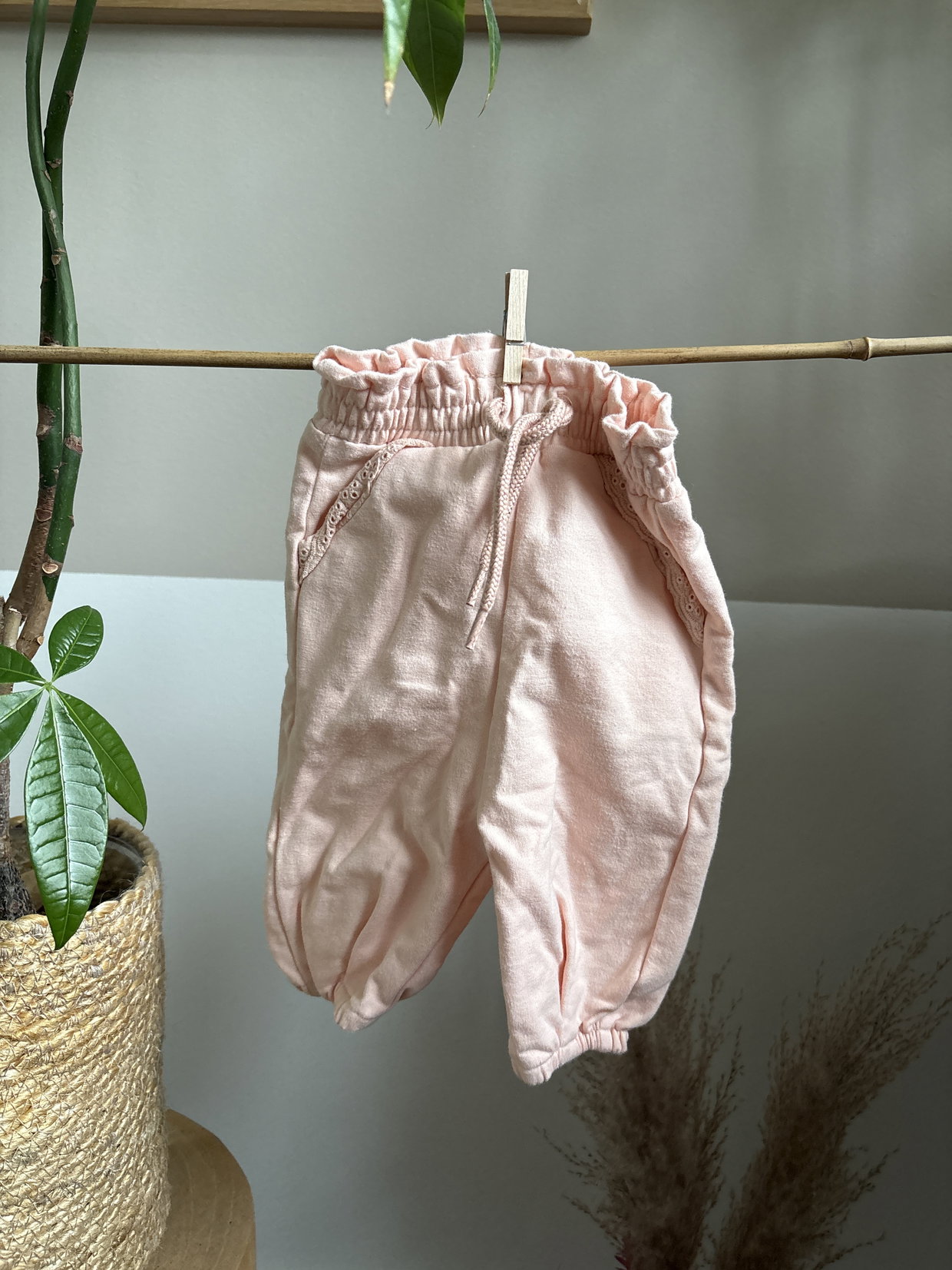 Rosa Hose