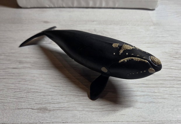 Schleich Blauwal