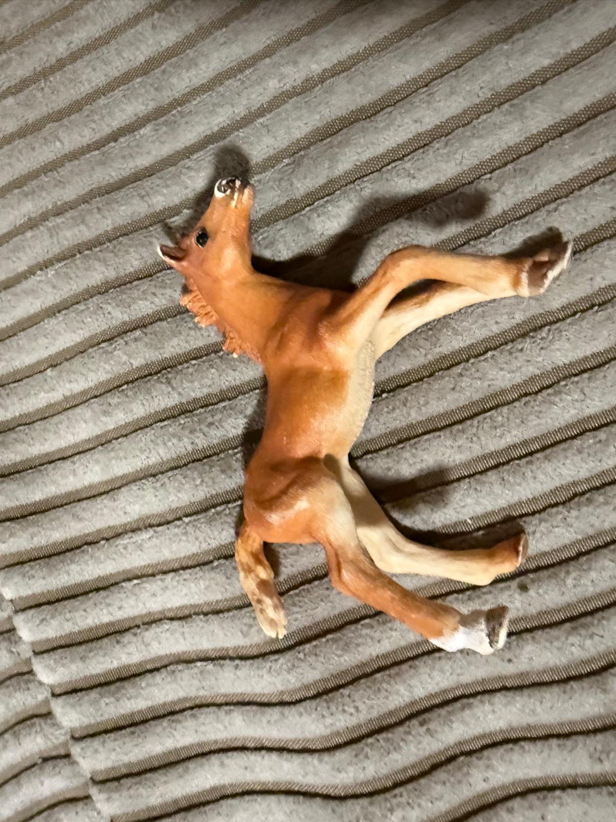 Schleich Fohlen braun 