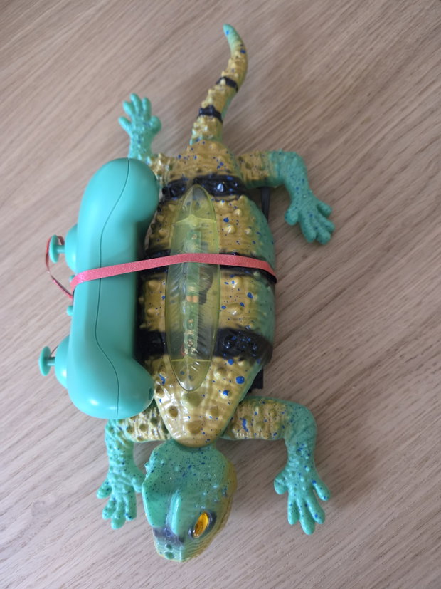 Gekko, ferngesteuert
